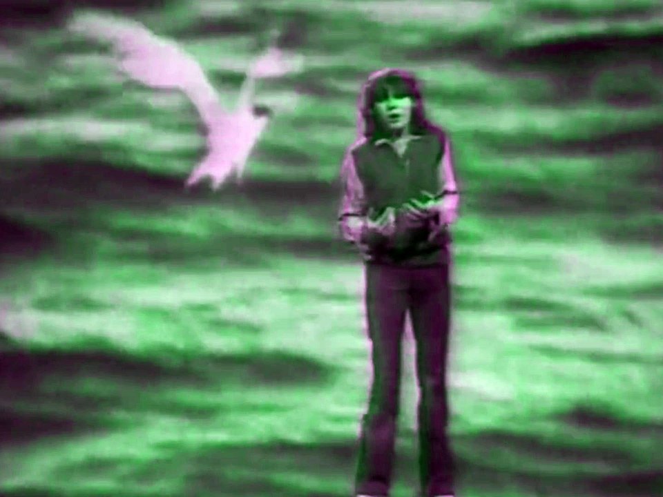 Daniel Balavoineles Oiseaux  Daniel Michel Berger Balavoine facebook