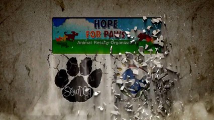 They Called Her An Evil Monster. At 3:36, She Proved Them All Wrong!