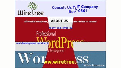 Professional Wordpress Web Design and Development Service in Toronto