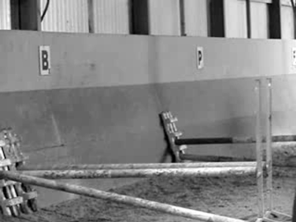 ? et ? en saut d'obstacle