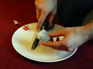 10 More Amazing Science Stunts (3)