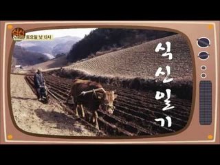 [식신로드 Gourmet Road] 238회 예고 "평범한 소고기는 거부한다! 전통과 추억이 있는 소고기 맛집베스트!"