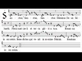 Sanctus missa II, Fons bonitatis