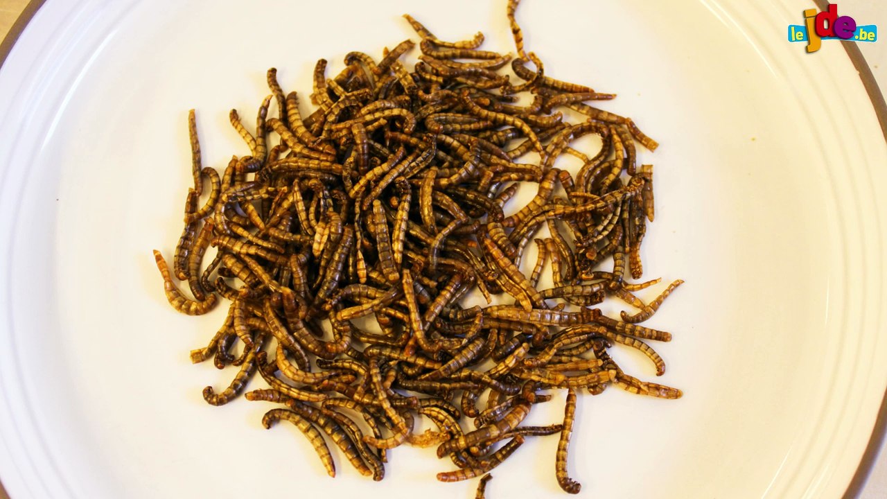 Pâtes d'insectes