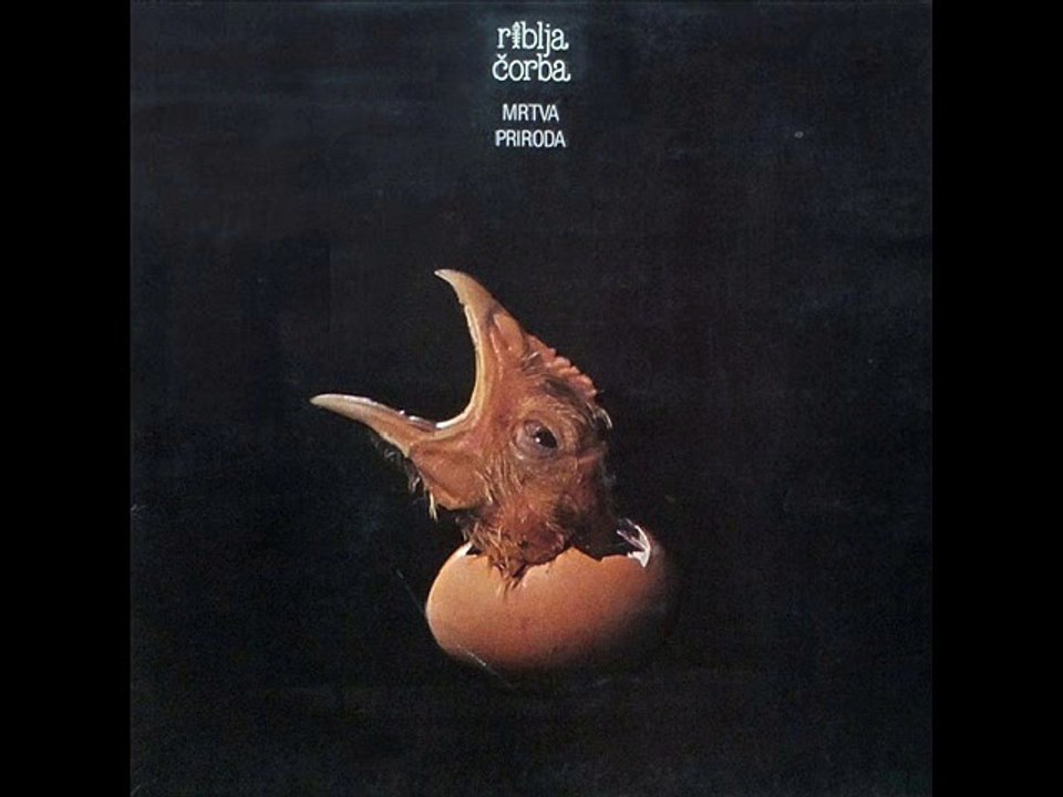 NEĆU DA ISPADNEM ŽIVOTINJA - RIBLJA ČORBA (1981)