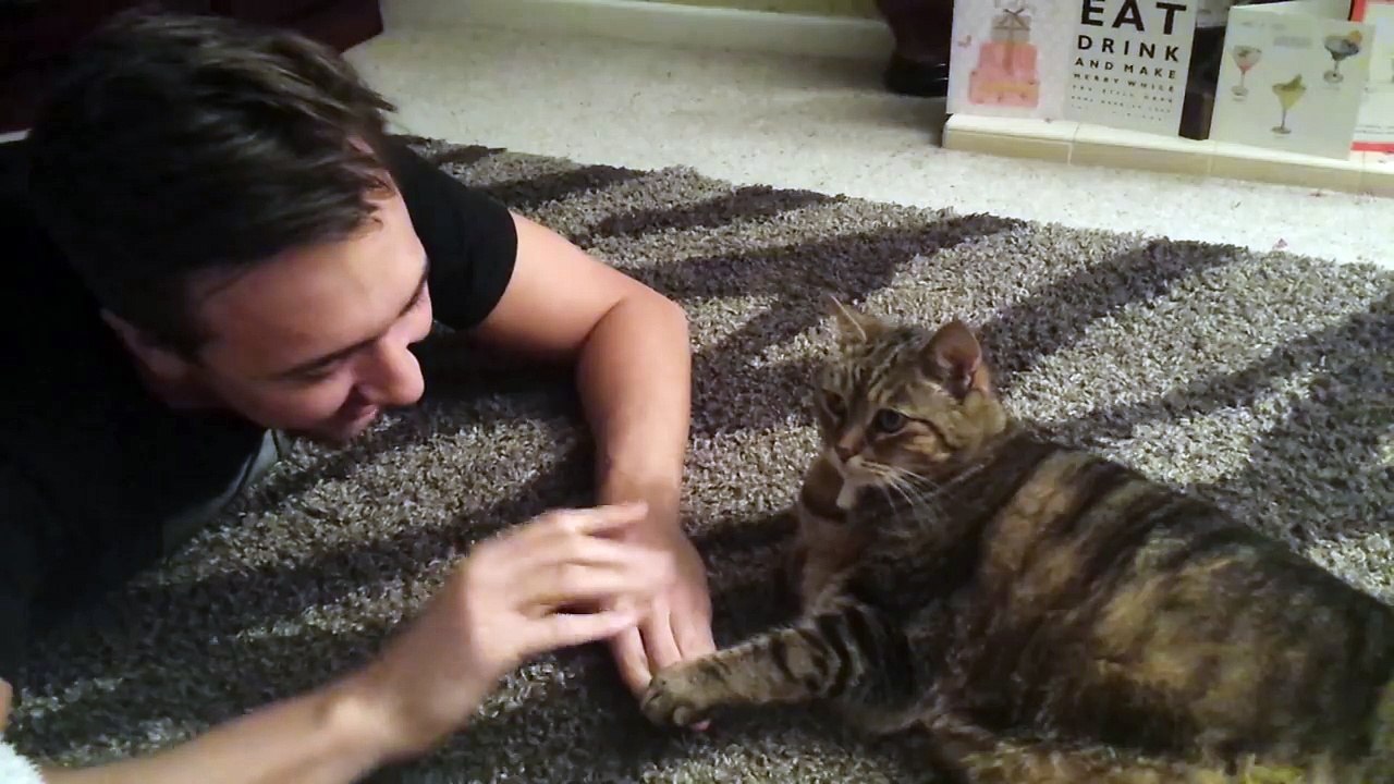 Buffy the Cat Plays 1 Potato 2 Potato.