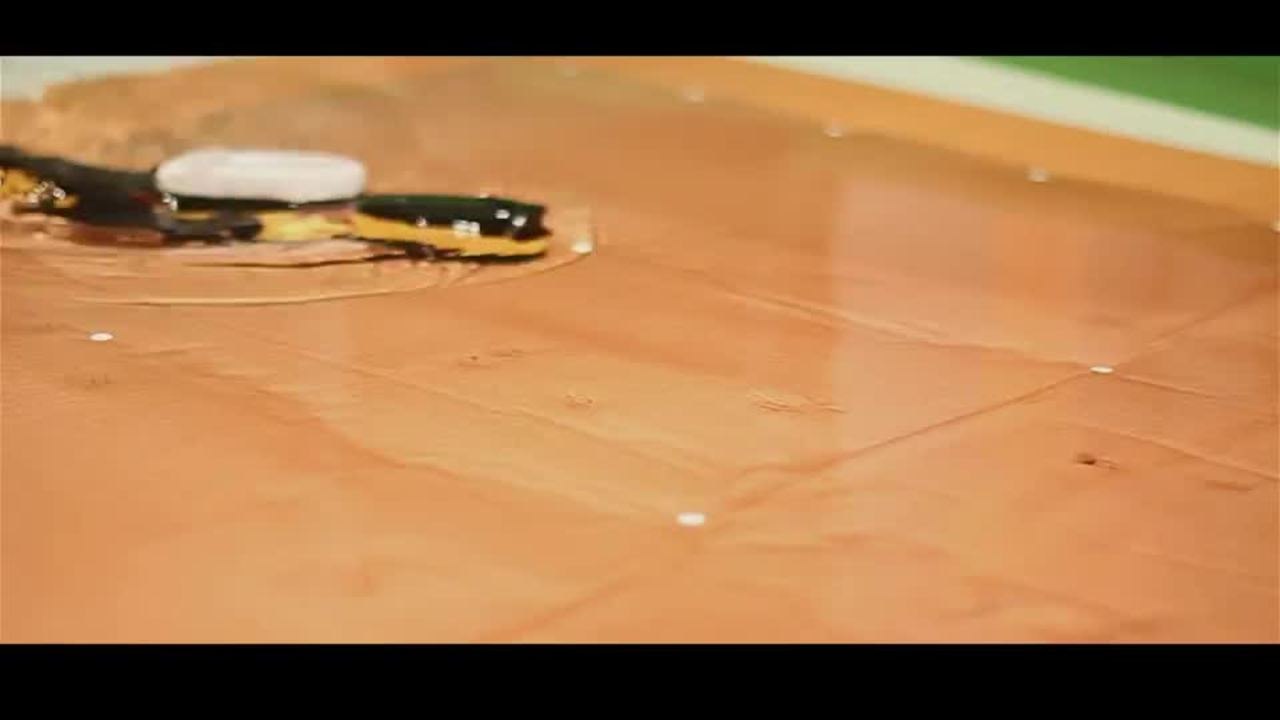 Salamandra robotica II
