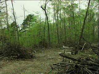 Chasing Spring Introduction