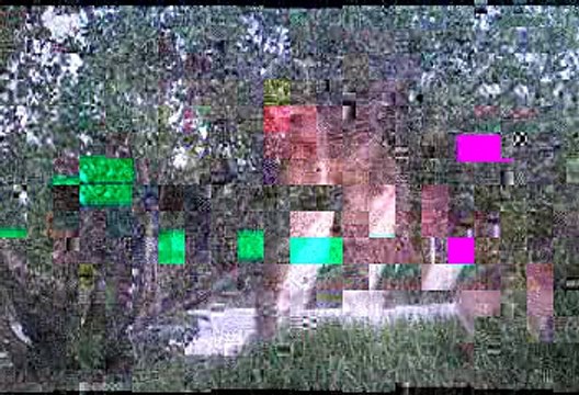 Whitetail 365: Boxing Bucks