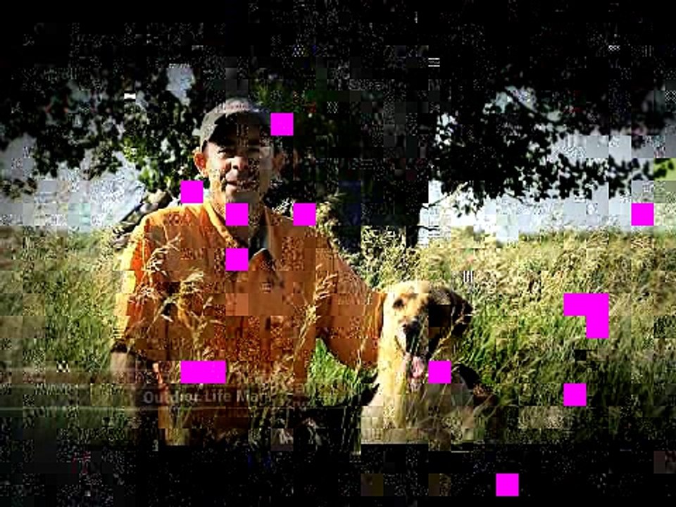 Record Quest: Tips on Stalking Whitetails