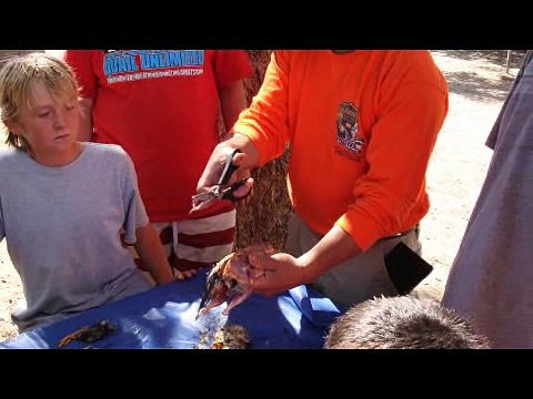 Heroes of Conservation 2009: California Quail Protector