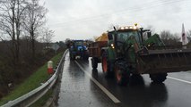 Manifestation des agriculteurs à l'appel de la Fdsea 72 et des JA