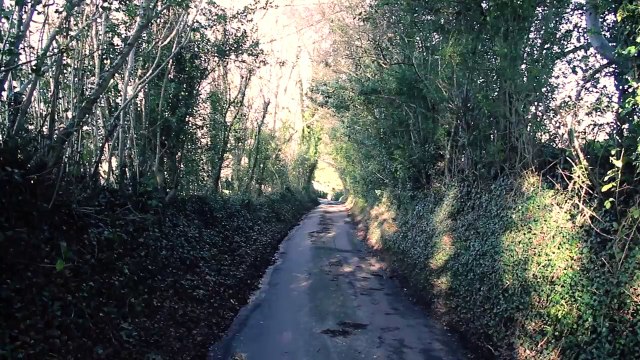 Landvision is Landscape Architects and Consultants