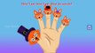 Finger Family Fox Family Nursery Rhyme | Finger Family Rhymes for kids