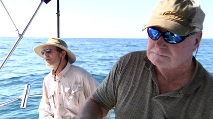 USCG Crossing Situation Part 1