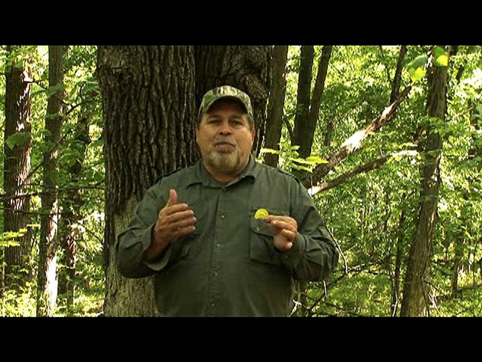 Master the Diaphragm Call