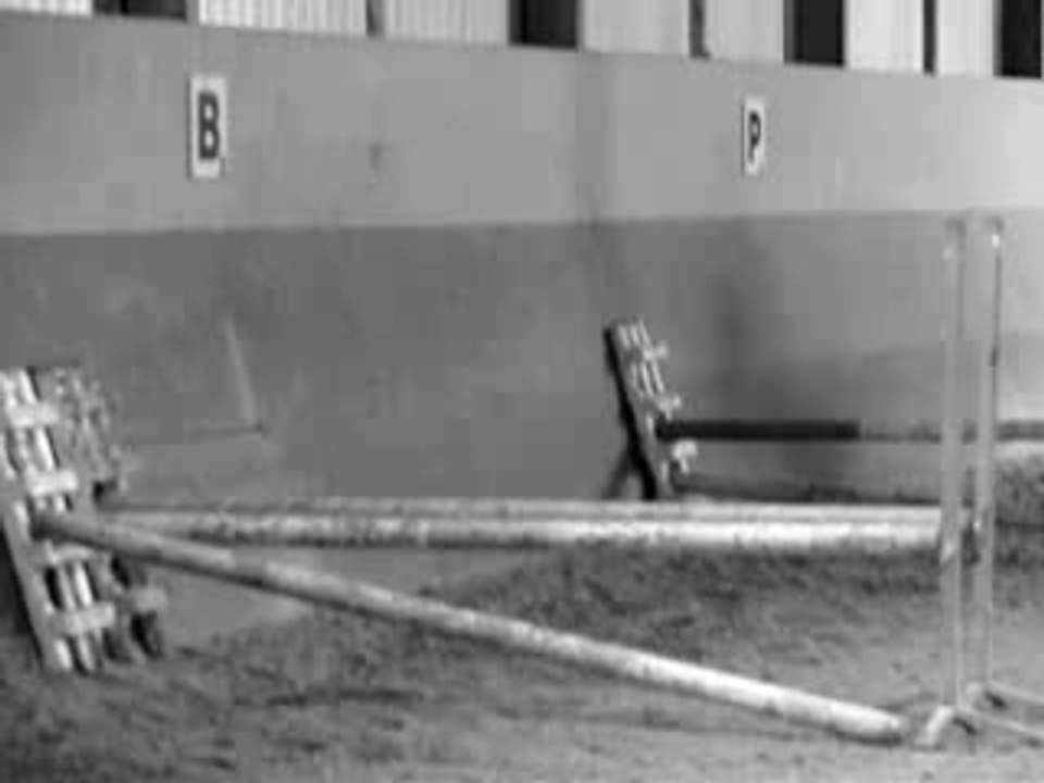 ? et ? en saut d'obstacle