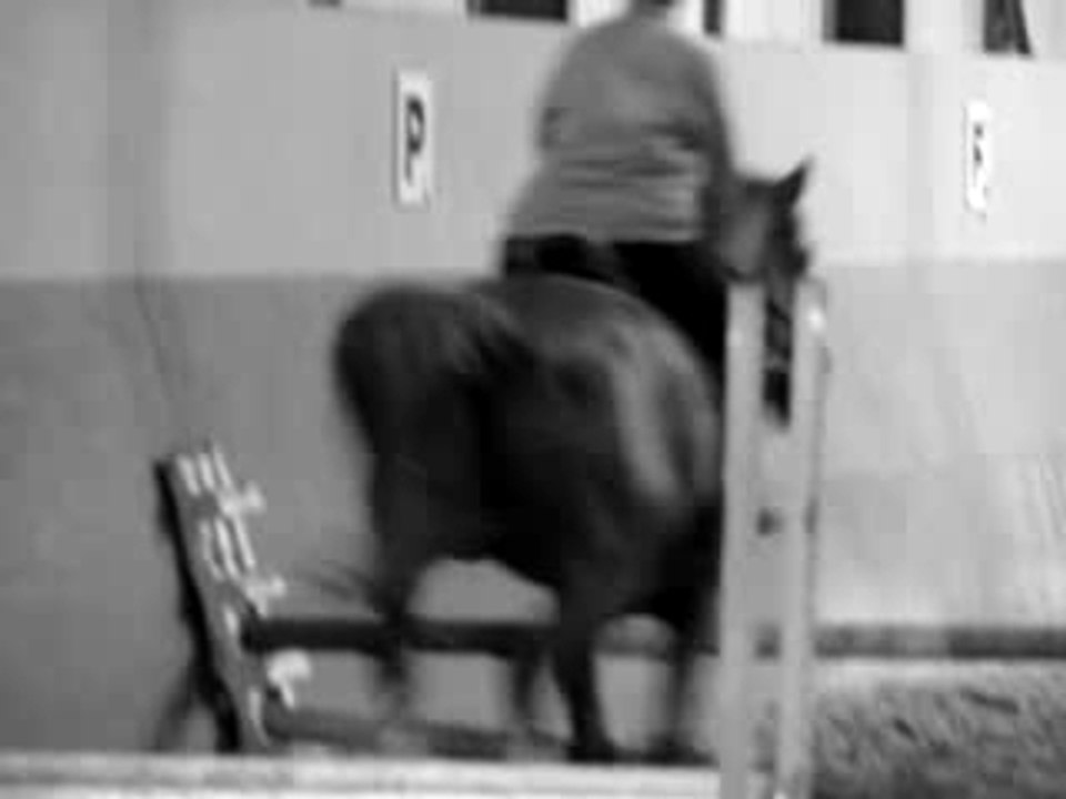 ? et ? en saut d'obstacle