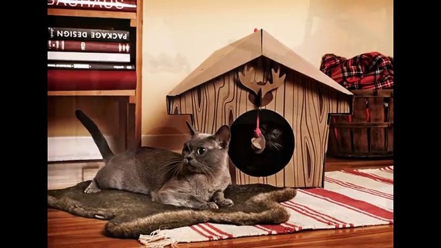 Домики для кошек из картона