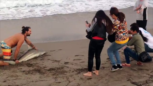 Un requin sorti de la mer pour faire un selfie !