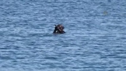 Dalgıçlar Bodrum'da "Deniz Dibi Temizliği" Yaptı