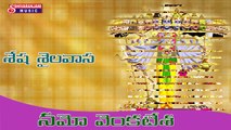 Seshasaila Vaasa Devotional Song || Lord Balaji Bhakthi Geethalu || lord balaji suprabhatam
