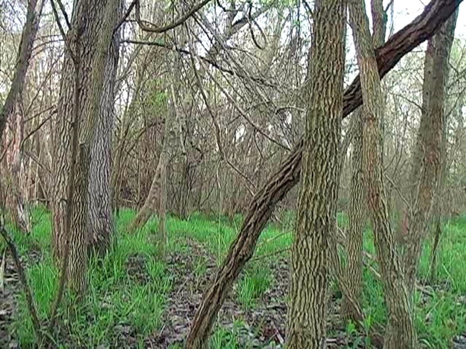 Scouting central MO April 17, MO opening day April 18 2011