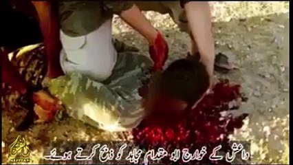 داعش کے سپورٹر اور مخالفین ایک بار یہ ویڈیو ضرور دیکھیں۔ اپنے دوست اور احباب کے ساتھ ضرور شیئر کریں۔
