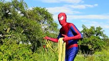 Spiderman Vs Venom Deadly hunt In Real Life IRL Super Hero Fights