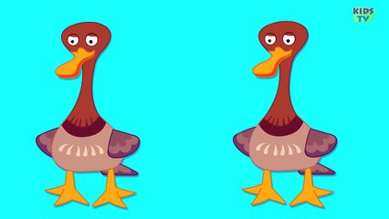 Counting Numbers | Learn numbers from 1 to 4 | Videos For Babies