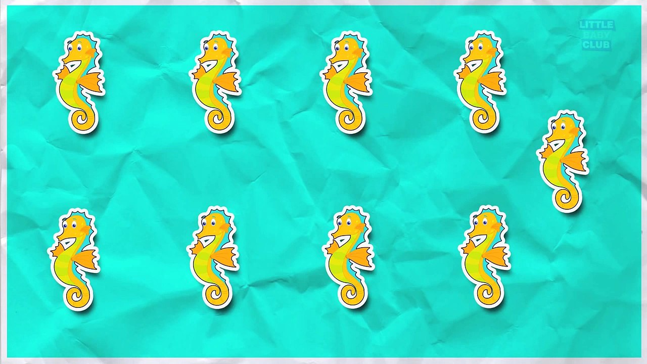 Counting Sea Horses