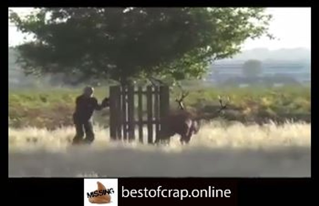 This tree saved this guys life.