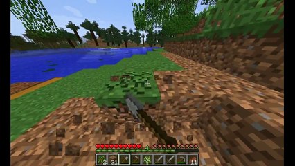 Minecraft Survival Time Lapsed - EP 2