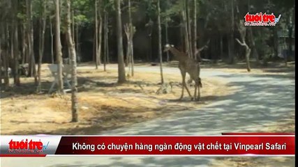 Không có chuyện hàng ngàn động vật chết tại Vinpearl Safari