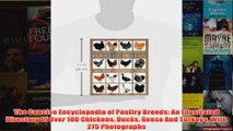 Download PDF  The Concise Encyclopedia of Poultry Breeds An Illustrated Directory Of Over 100 Chickens FULL FREE