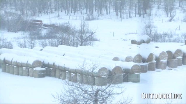 OL's 2011 Optics Test: The Low Light Test