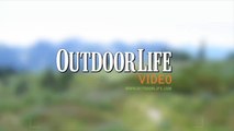 Live Hunt: Preseason Scouting Colorado Mountain Goats
