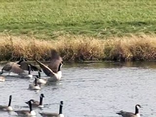 BOWN 2008: Casio EX-F1 Camera