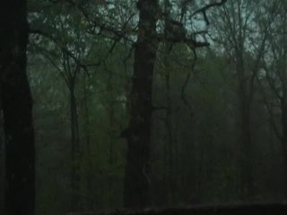 Lisa Thomas MO Ozarks field hunt day 2