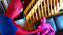 Pink Spidergirl Pregnant ? Spiderman & Frozen Anna in Real Life! Fun Superhero Movie IRL