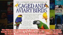 Download PDF  The Ultimate Encyclopedia Of Caged And Aviary Birds Practical Family Reference Guide To FULL FREE