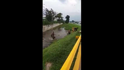 IMAGENS FORTES: Vídeo mostra atropelamento de adolescente na via Dutra, no RJ