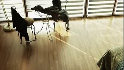 안전공원―――【 TNT900。COM 】―――바카라주소 월드바카라게임