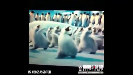 Vines Compilation 2016 - Best Vines 2016 - Funny Vines - NEW Vine Compilation 2016