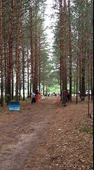 Ездовой спорт каникросс масстарт Женщины