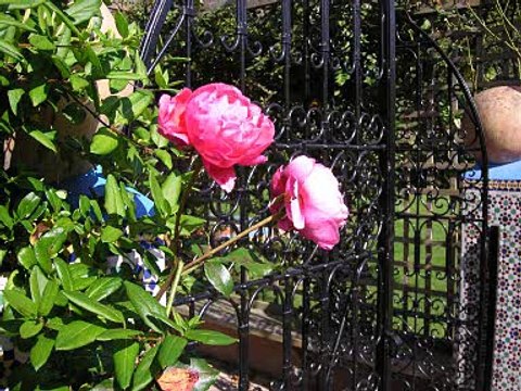 Invite à la détente au jardin marocain de la Chapelle des Fougeretz 2011 jardin marocain