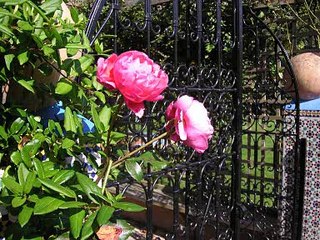 Invite à la détente au jardin marocain de la Chapelle des Fougeretz 2011 jardin marocain