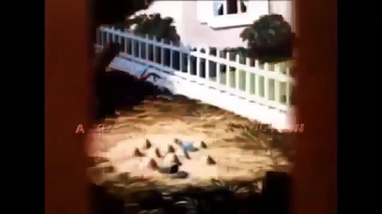 DONALD canard dessin animés complet épisodes & Tic et Tac - Disney films classiques_Part4