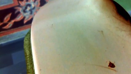 FOX TVde Canlı Yayınında Patlama Sesi Duyuldu (oo bu nee )