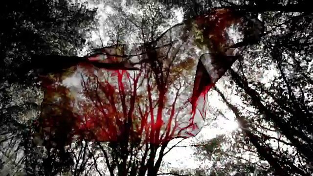 Hülya POLAT-Sen Rüzgar Ben De Yaprak